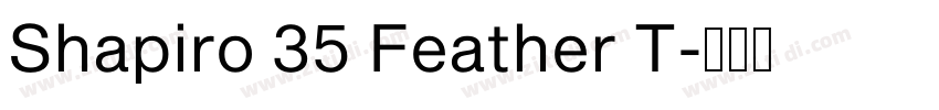 Shapiro 35 Feather T字体转换
